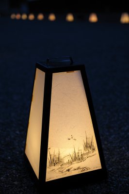 Light Up at Nijo-Castle