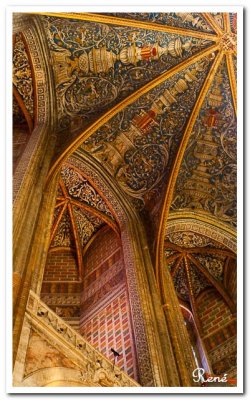 Albi
