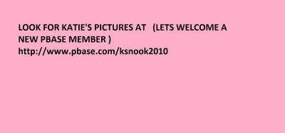 LOOK FOR KATIE.jpg