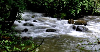 DSC_0025_2010_wb.jpg