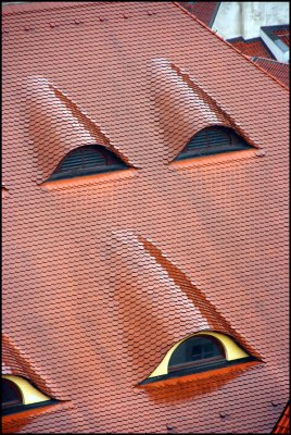 Roof with Eyes