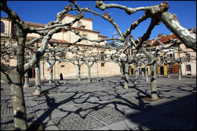 Plaza de Viriato