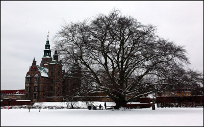 Big Tree