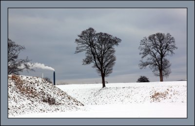 Solitude
