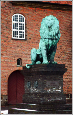 Proud Lion