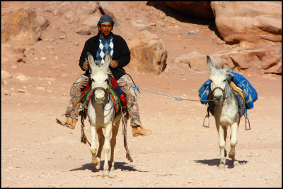 Driving Donkeys