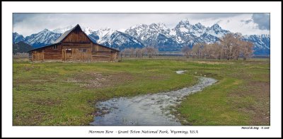 Mormon Row - Grand Tetons