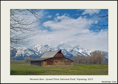 Mormon Row - Grand Tetons