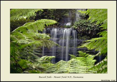 Russell Falls - 3