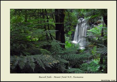 Russell Falls - 4