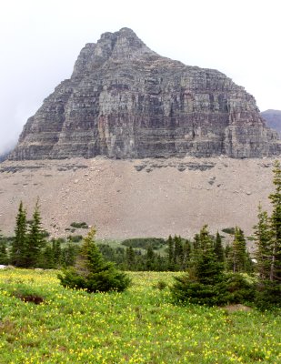 Logan Pass.