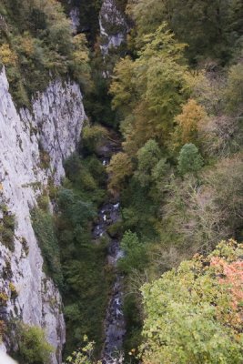 IMG_2310.jpg