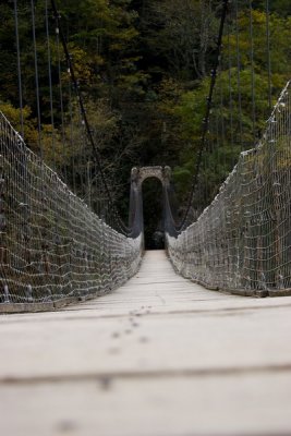 IMG_2326.jpg