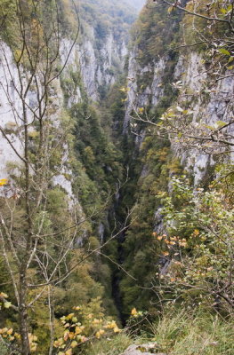 IMG_2329.jpg