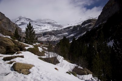 g3/05/218805/3/96545340.z1G54ZP0.jpg
