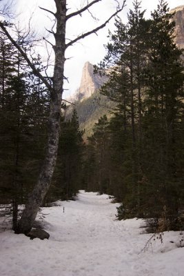 Camino de los Cazadores