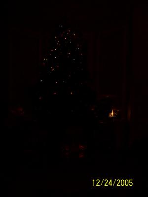 100_0528.JPG
