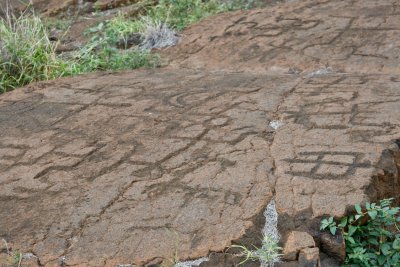 c1282 Petroglyphs