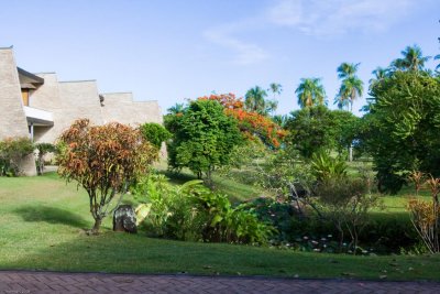 C1474 Gardens of the Royal Tahitien Hotel