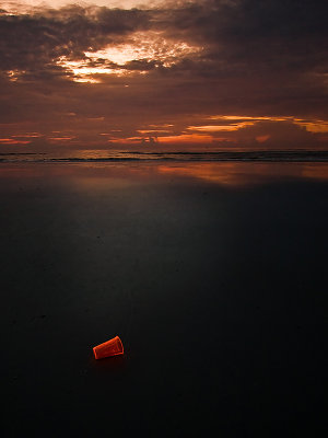 Neon Litter at Sunrise