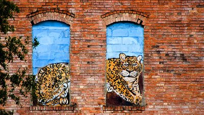 Downtown Jaguar Art