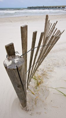 Pier and Fence