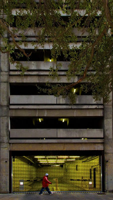 Parking Garage with Tree Branches