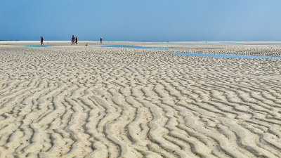 Beachcombers at Low Tide