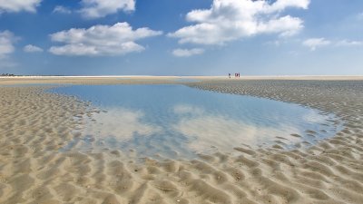 Beachcombers at Low Tide II