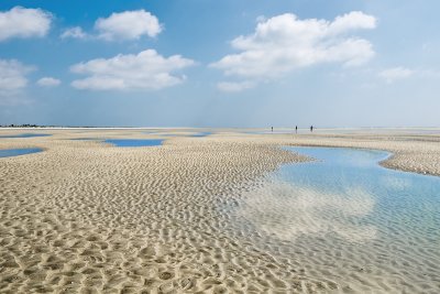 Beachcombers at Low Tide III