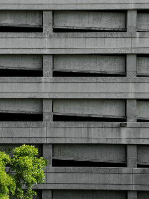 Garage with Tree