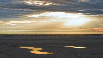 Tidal Pool at Dawn IV