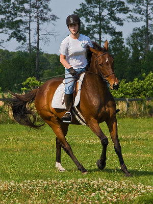 Turning a Horse