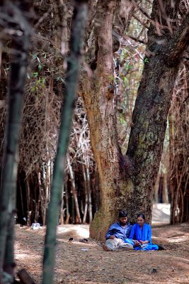 Under the old tree