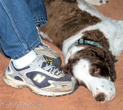 Clyde Sticking Close to Frank