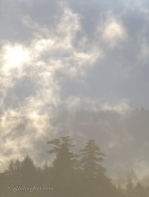 Through the Mist to the Other Side of the Valley