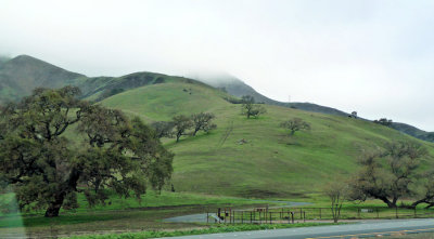 Hills and Fog
