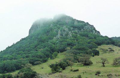 Hill Disappearing into the Fog