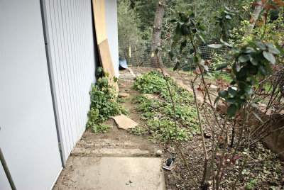 New Sidewalk will Extend from Here on Back