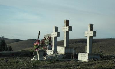 Crosses