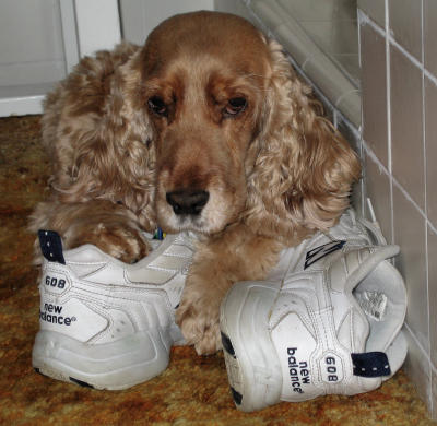 The Keeper of the Shoes