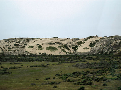 Sand Dunes on the Beach