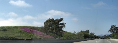 On the Way Home