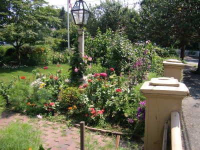 Marblehead flowers and views