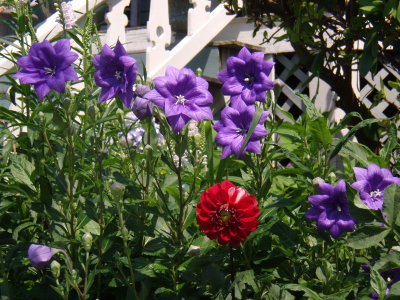GEDC1372.JPG