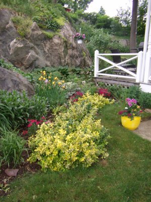garden_09