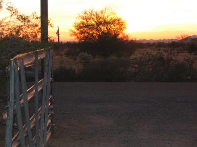 Gate at sunset.JPG