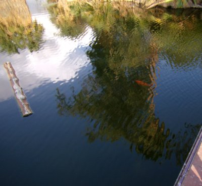 GEDC0765.JPG