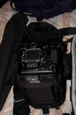 DSC_4307-1.jpg
