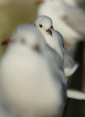 DSC_4193.jpg